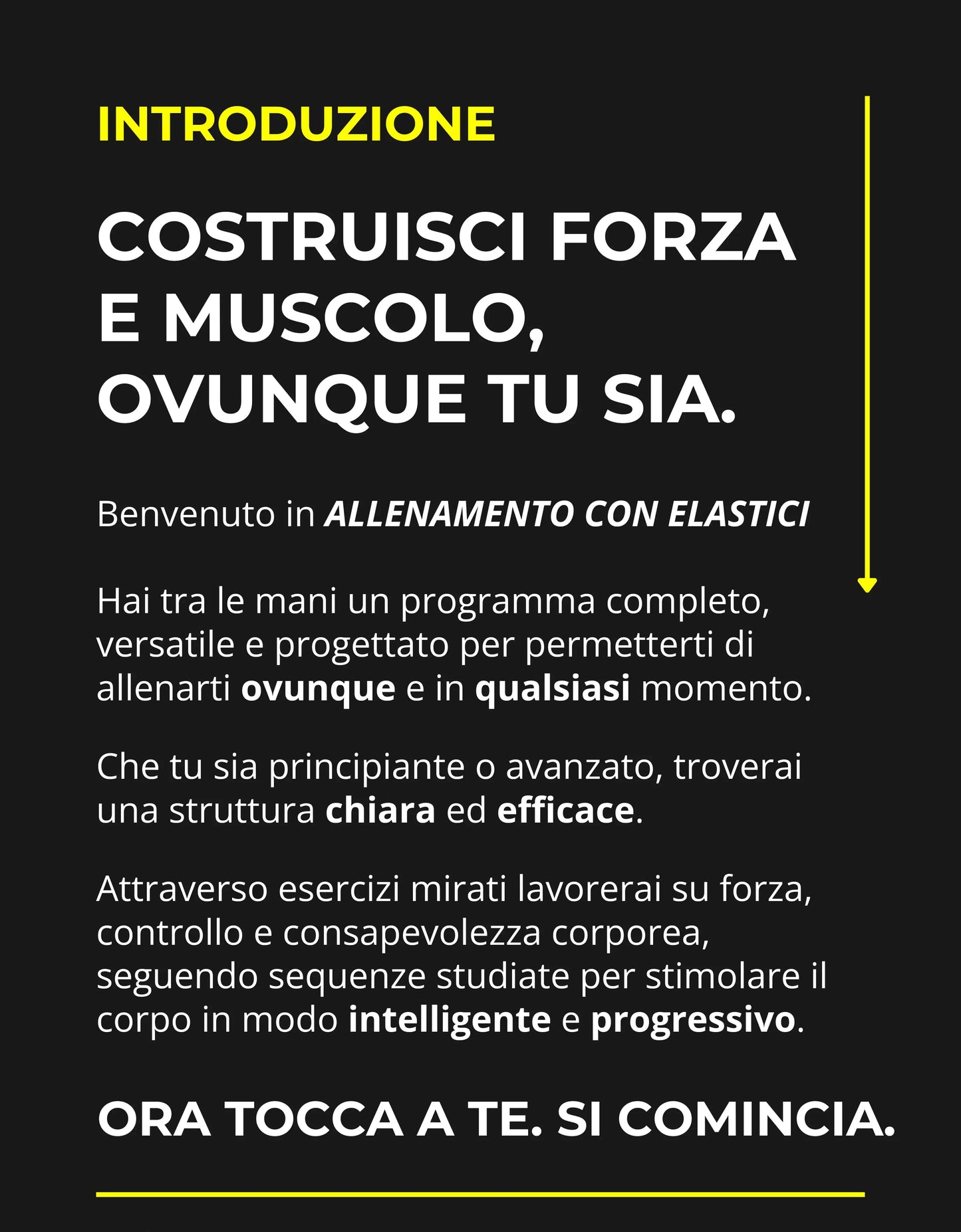 ALLENAMENTO CON ELASTICI - BRESOS Program